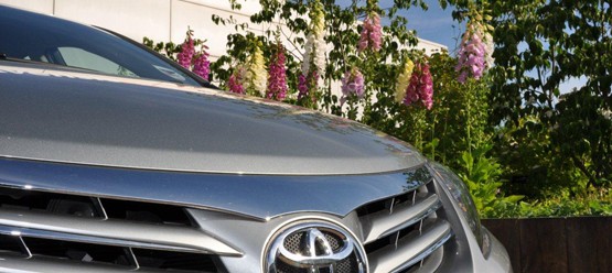 Toyota parked in front of flowers