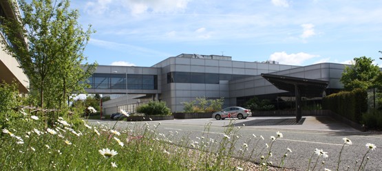 View of a green industrial site