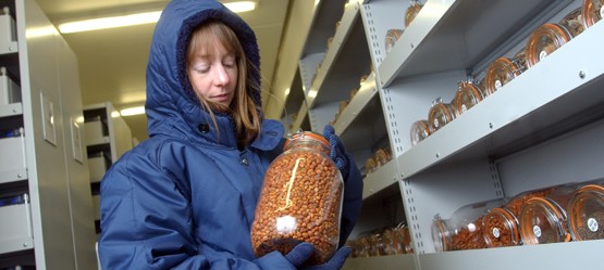 Scientist with seeds