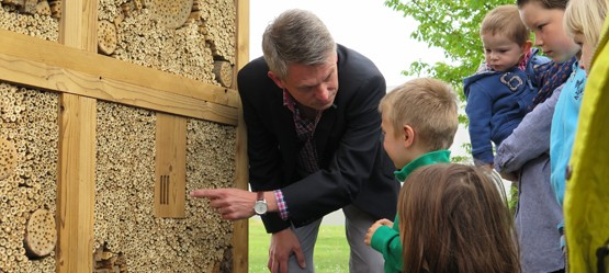 Children discovering an insect hotel