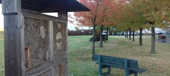View of an insect hotel