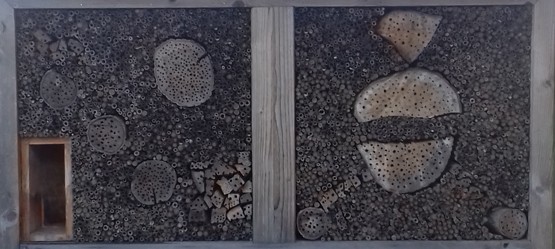 Close-up view of an insect hotel