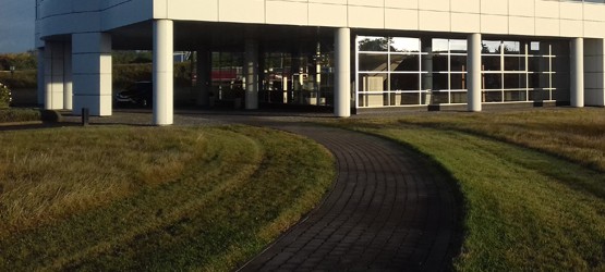 A building with a thick outside lawn