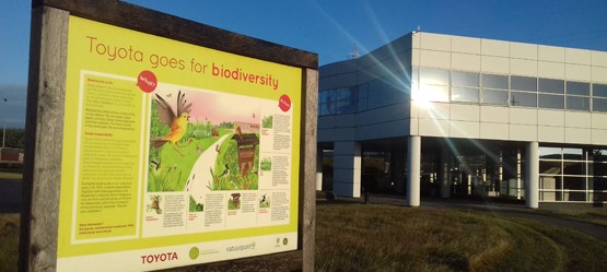 Exterior sign promoting biodiversity