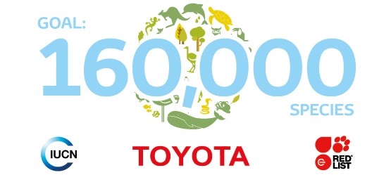 Graphic about Toyota conservation goals