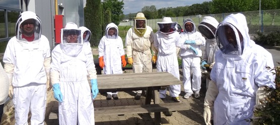 Group of beekeepers 