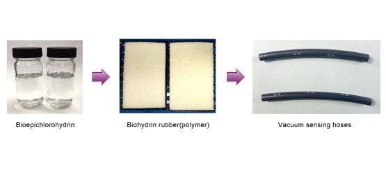 Biohydrin rubber production process