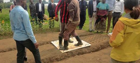 Rwandan farmers planting seeds