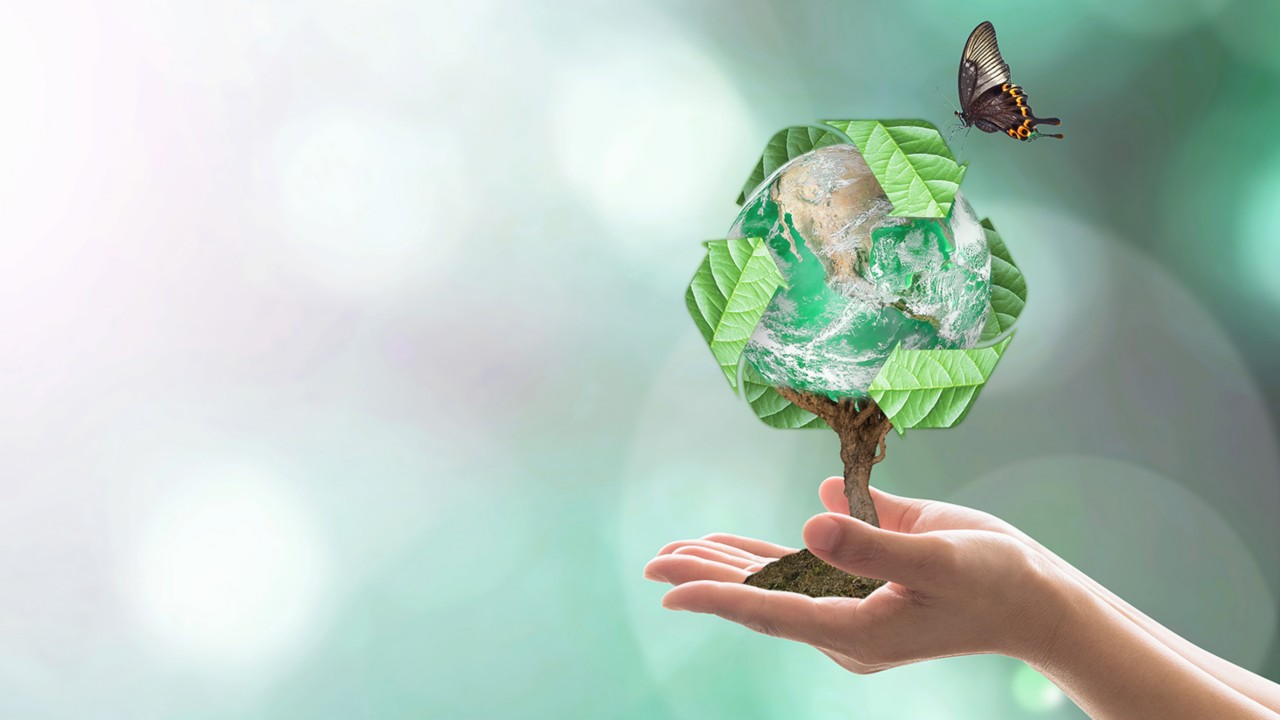 Tree graphic representing recycling