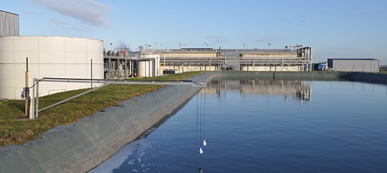 Lagoons next to Toyota Plants