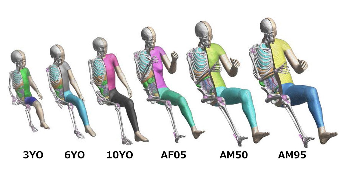 TOYOTA OFFERS FREE ACCESS TO THUMS VIRTUAL HUMAN BODY MODEL SOFTWARE