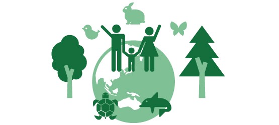What are The Toyota Fund for Europe’s areas of focus